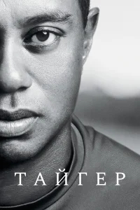 Тайгер бесплатно