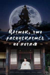 Цветок, что распускается по ночам бесплатно